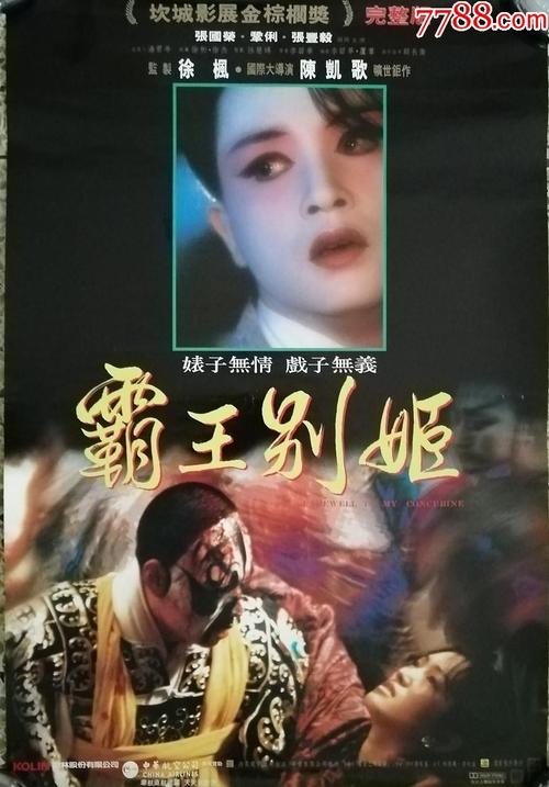 波尔多大学理工科文凭证书